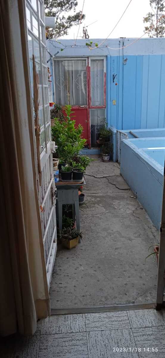 3 de 16
