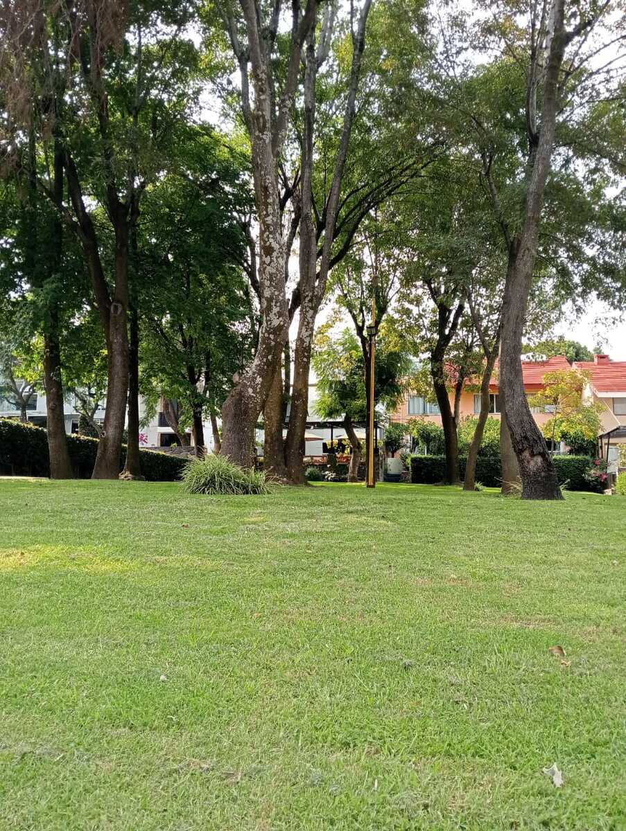 18 de 18