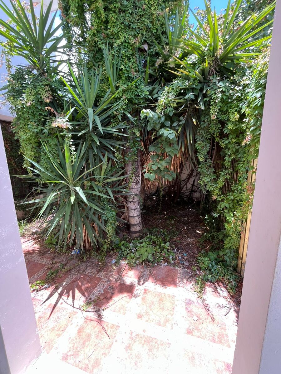 3 de 30