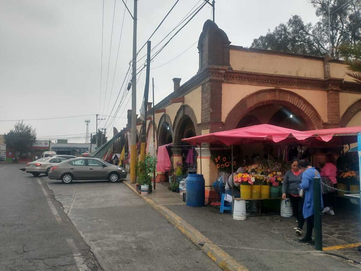 TERRENO EN VENTA SAN MIGUEL, TENANGO DEL AIRE - foto 2