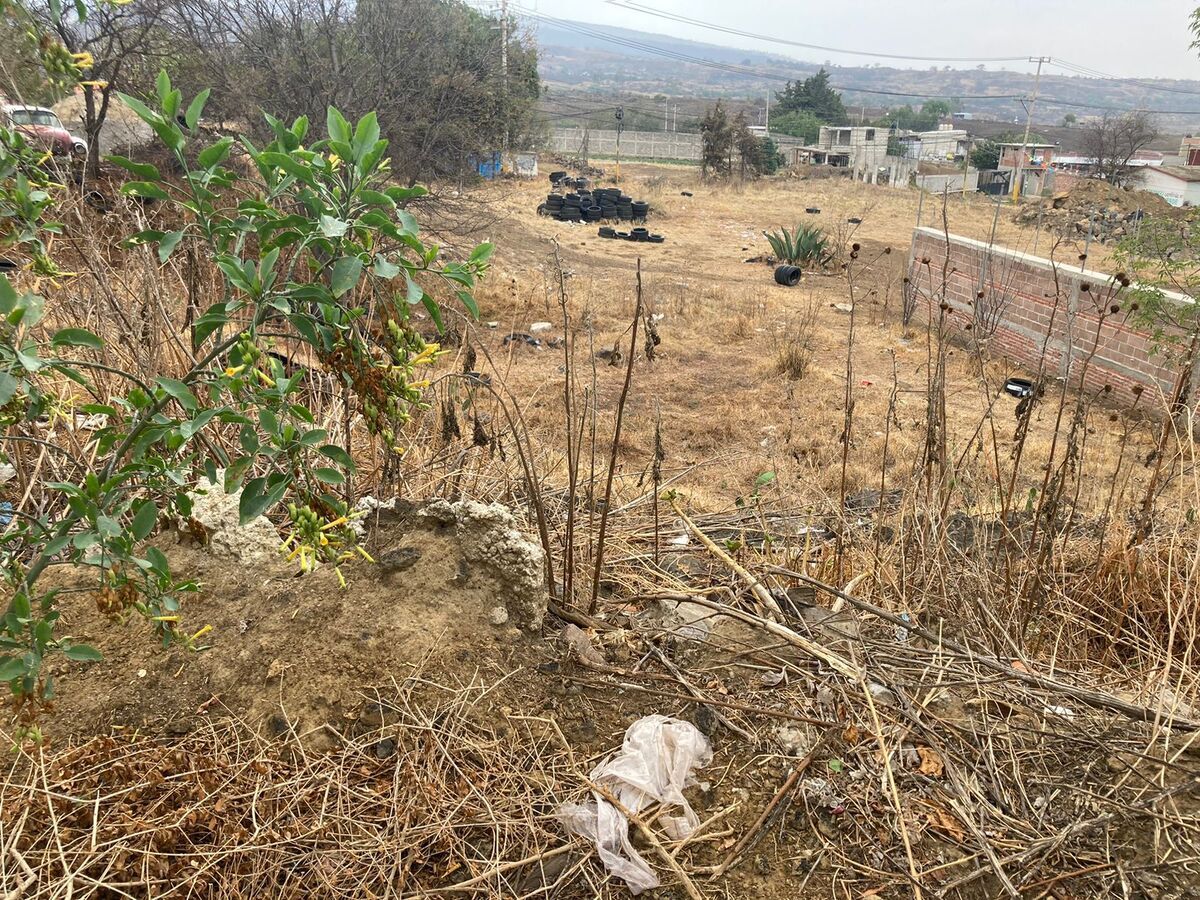 TERRENO EN VENTA SAN MIGUEL, TENANGO DEL AIRE - foto 5