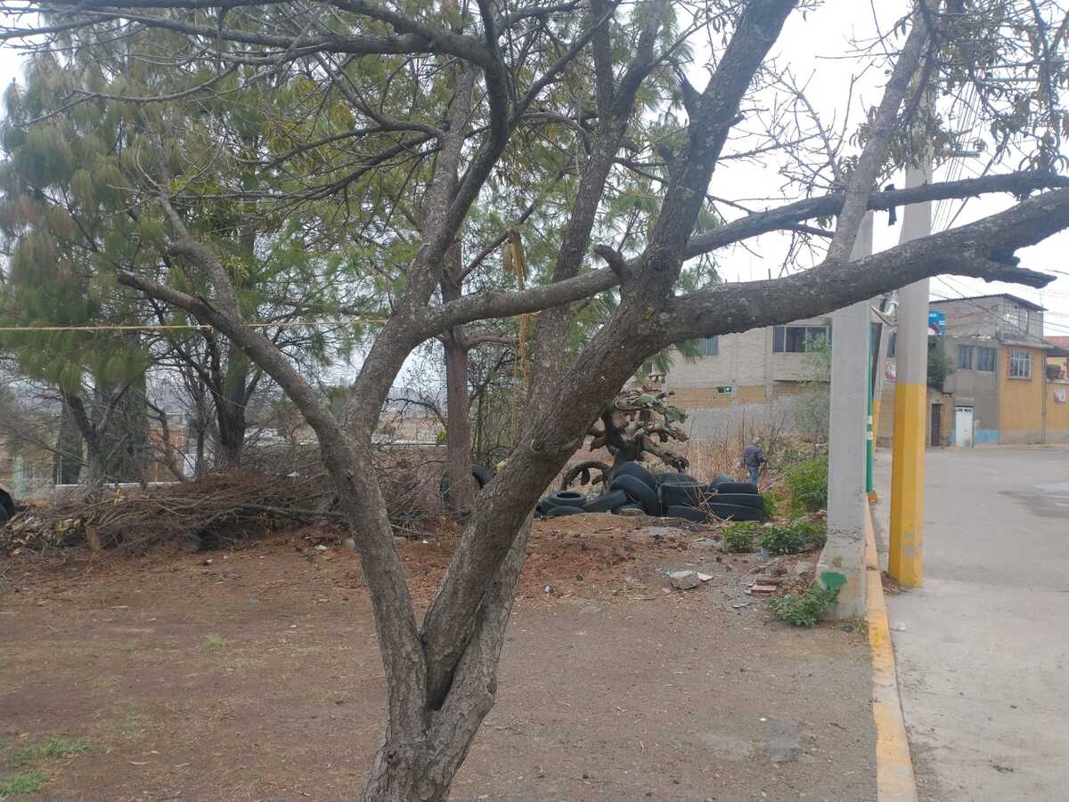 6 de 14