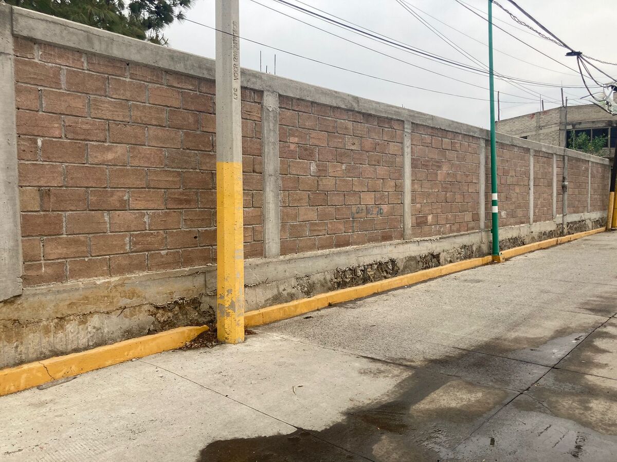 7 de 14