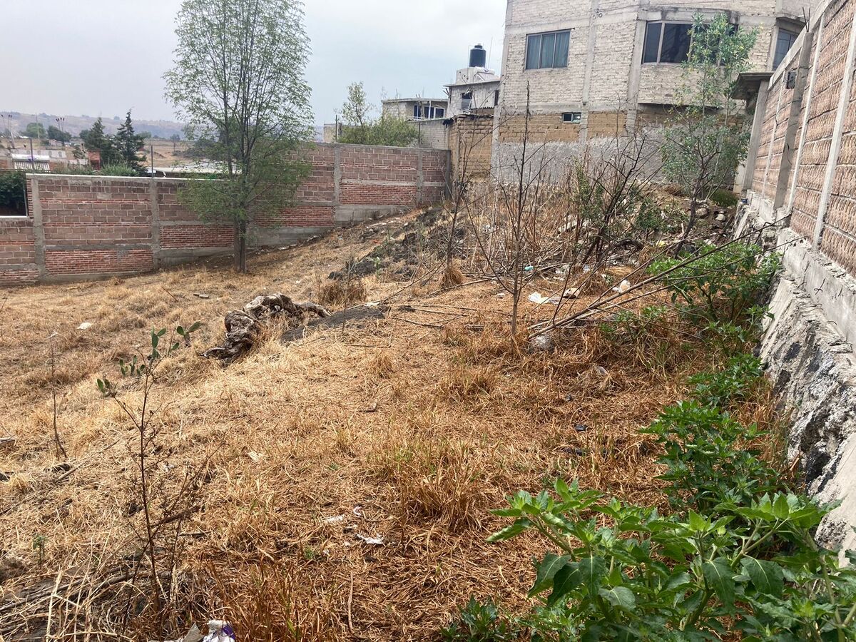 8 de 14