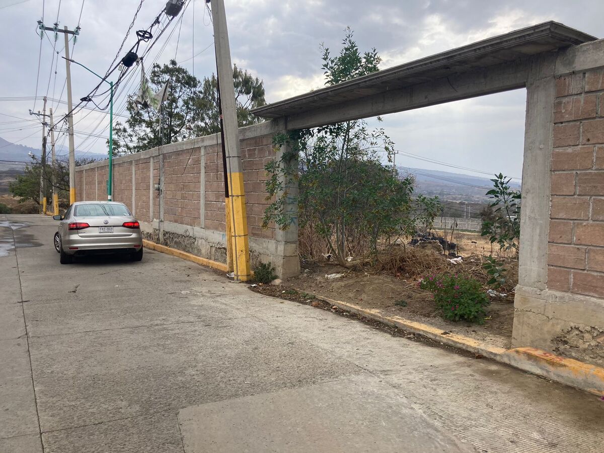 11 de 14