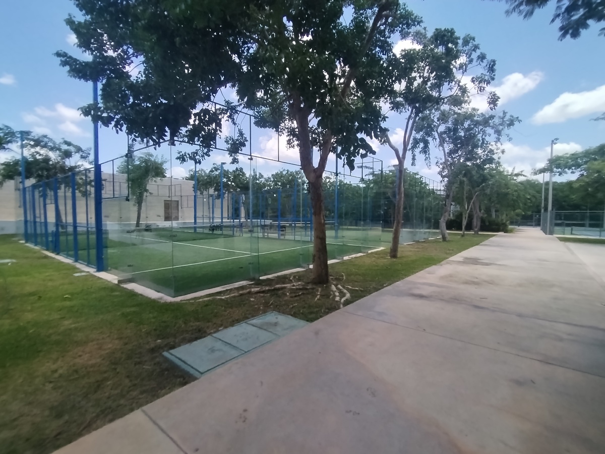 10 de 11