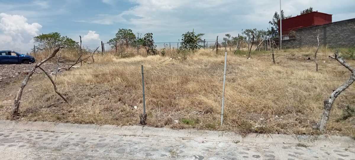 3 de 7