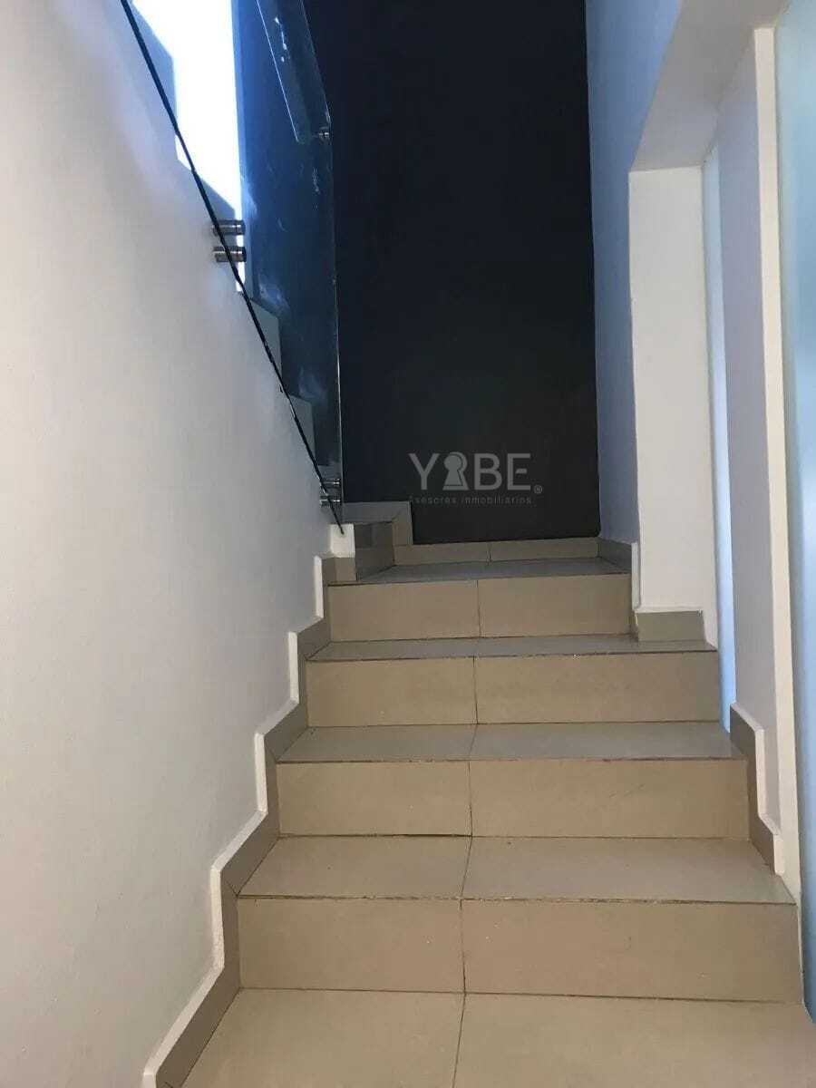 8 de 12