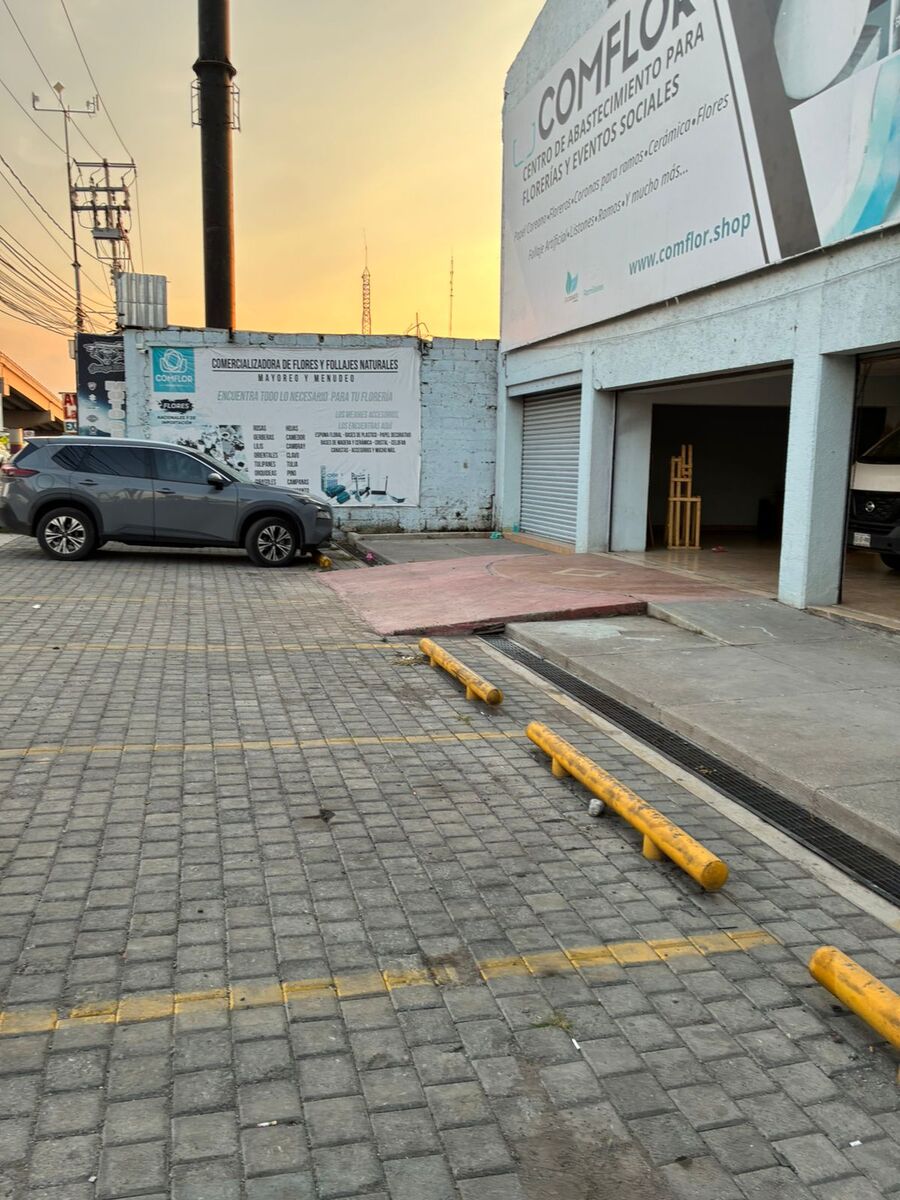 1 de 11