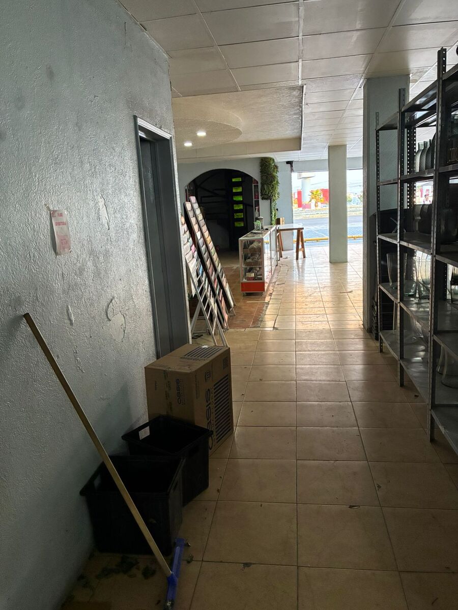 4 de 11
