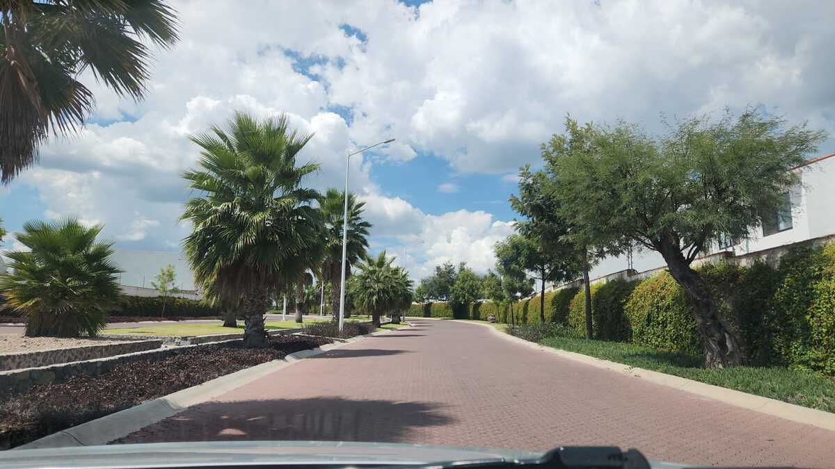 1 de 8