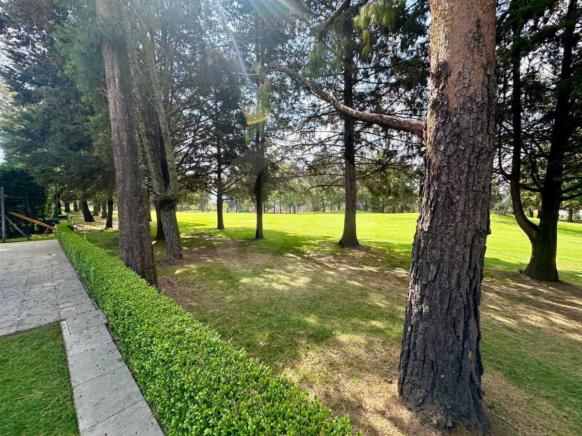 24 de 25