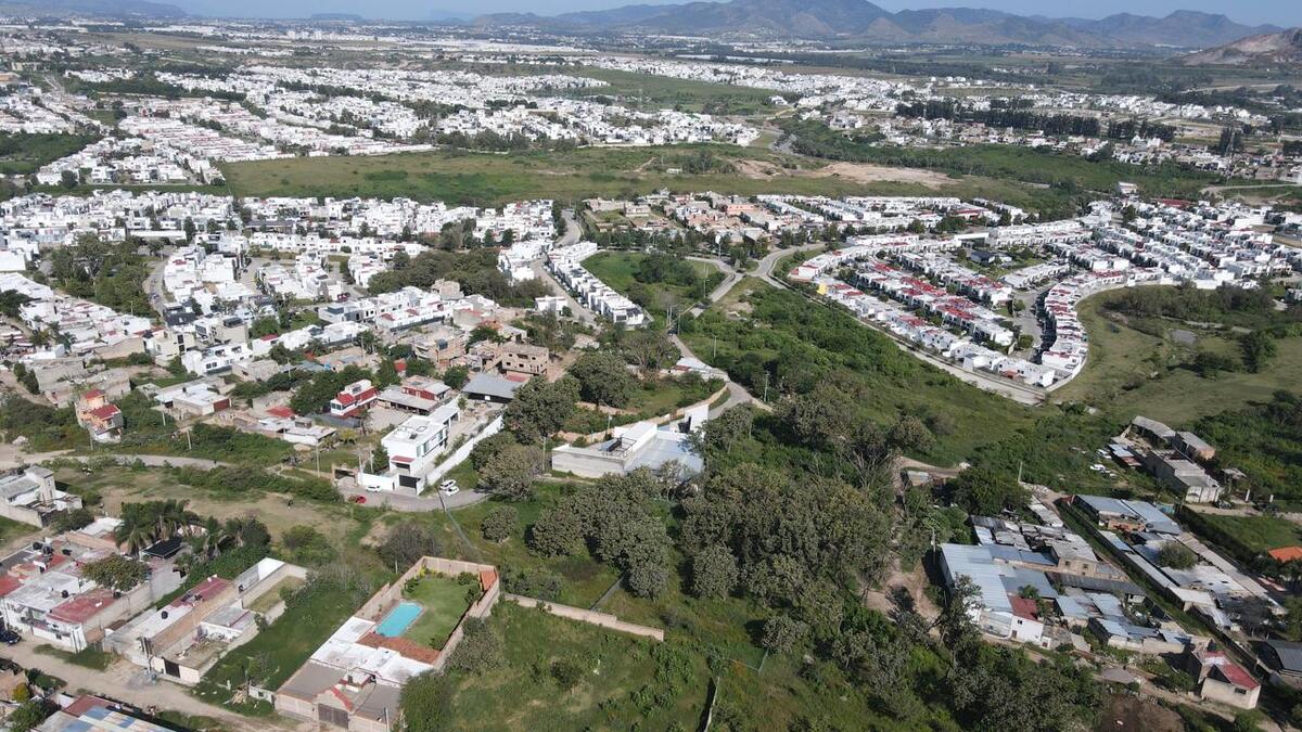 11 de 21