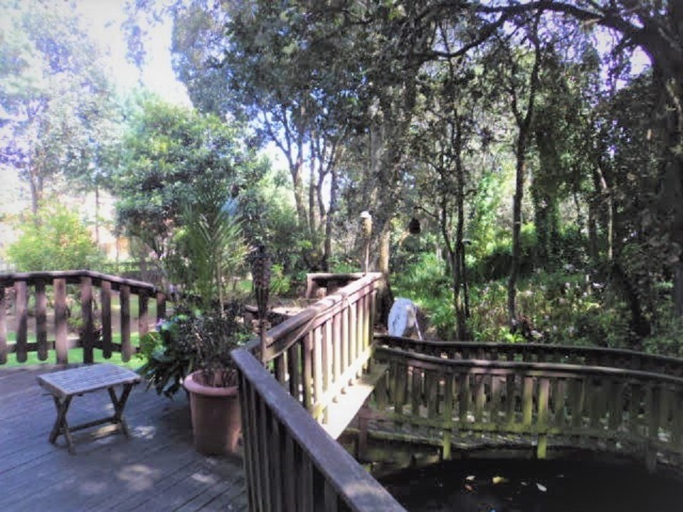 8 of 36: GRAN TERRAZA