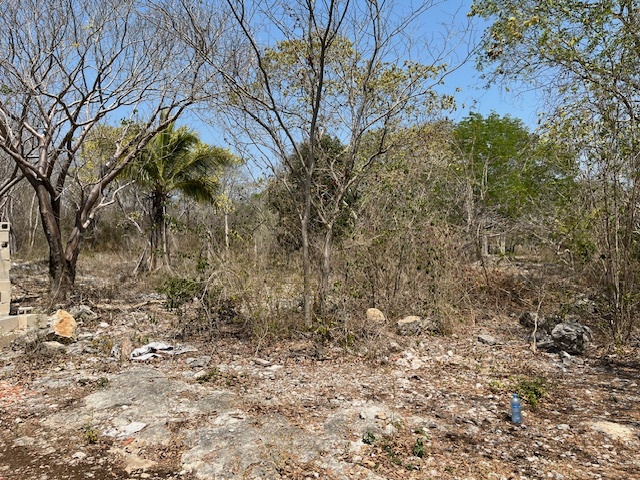 5 de 14