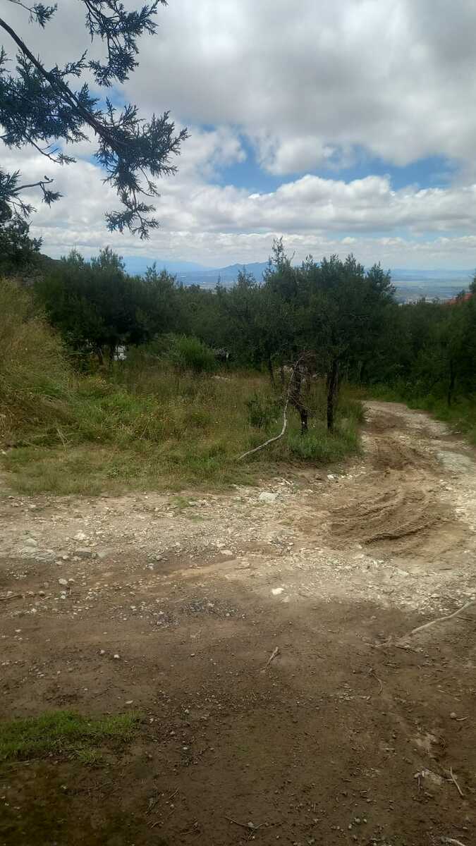 2 de 10