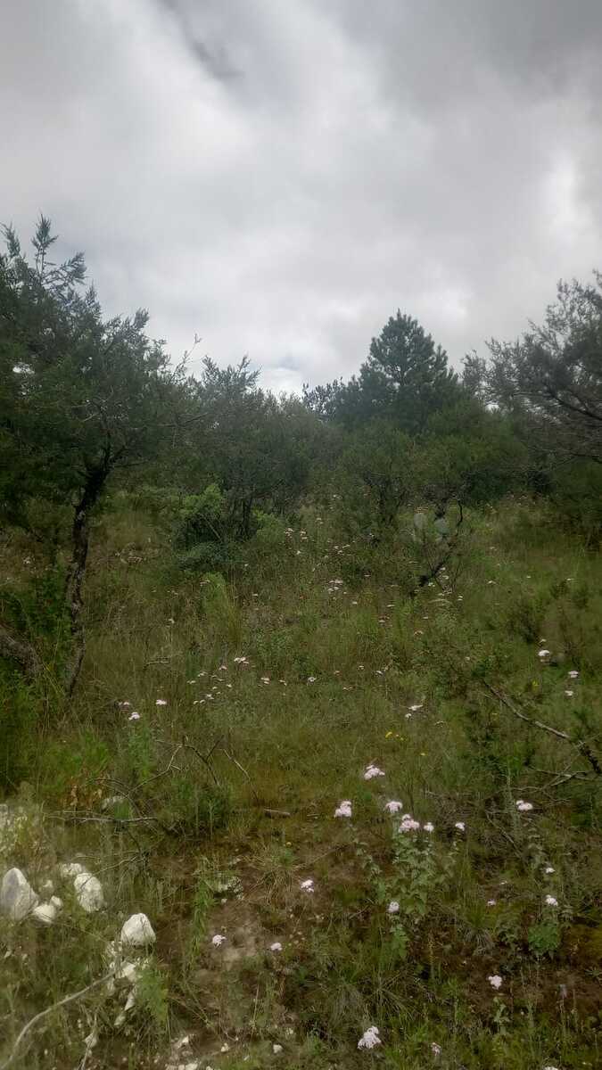 5 de 10