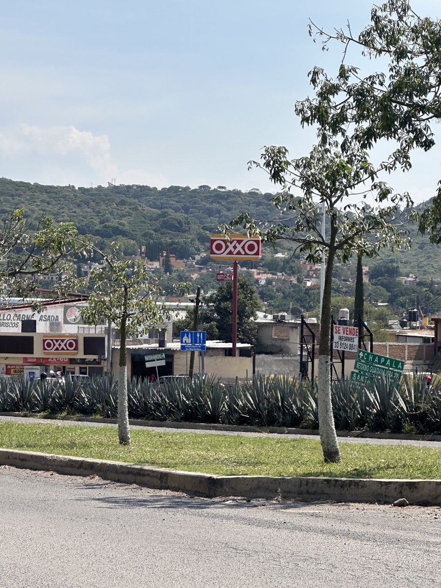 3 de 7: Ixtlahuacan de los membrillos