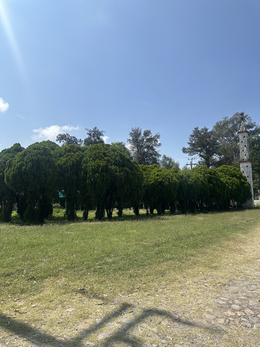 5 de 15: Fraccionamiento