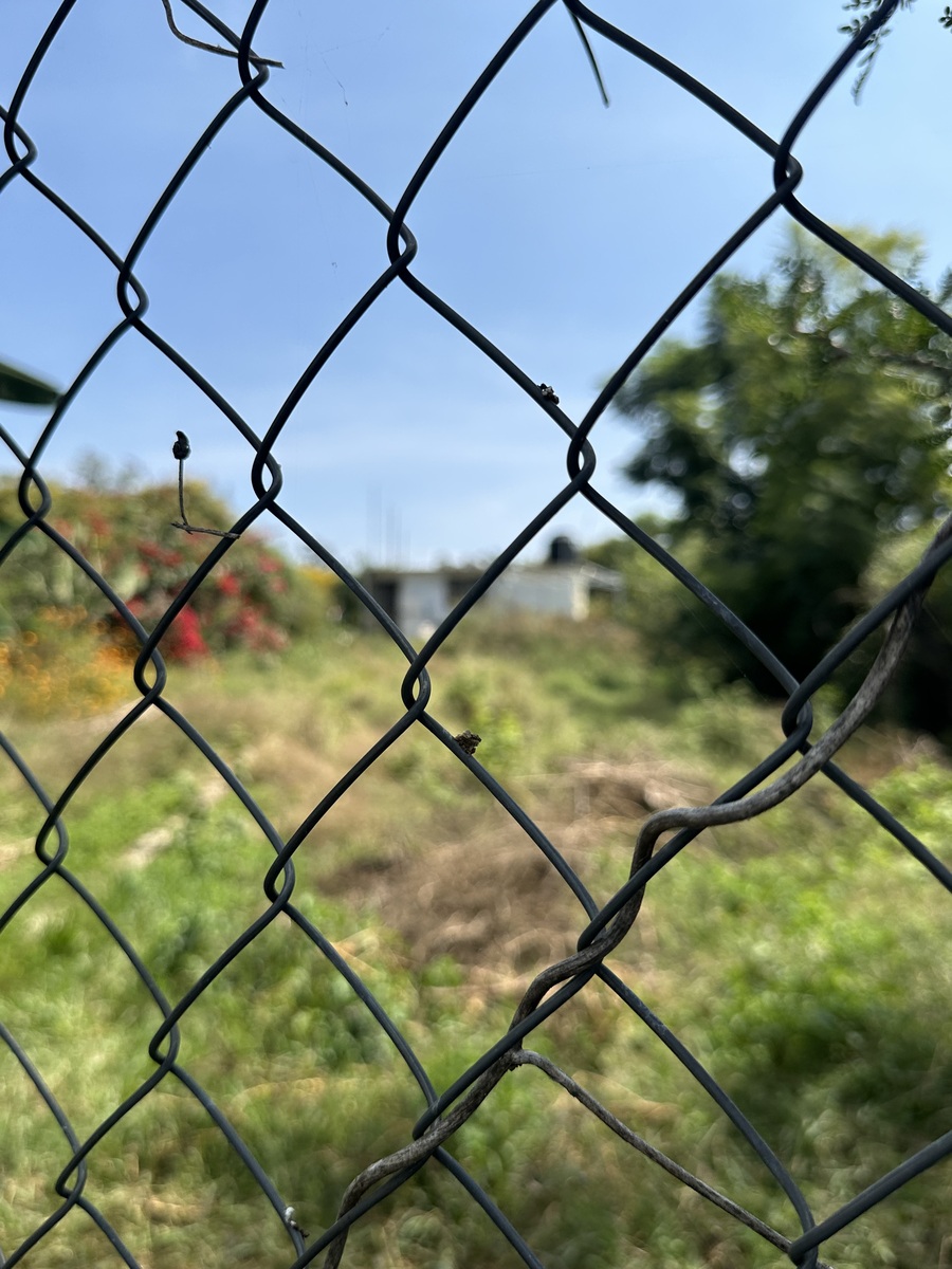 7 de 15: Terreno vecino
Es similar