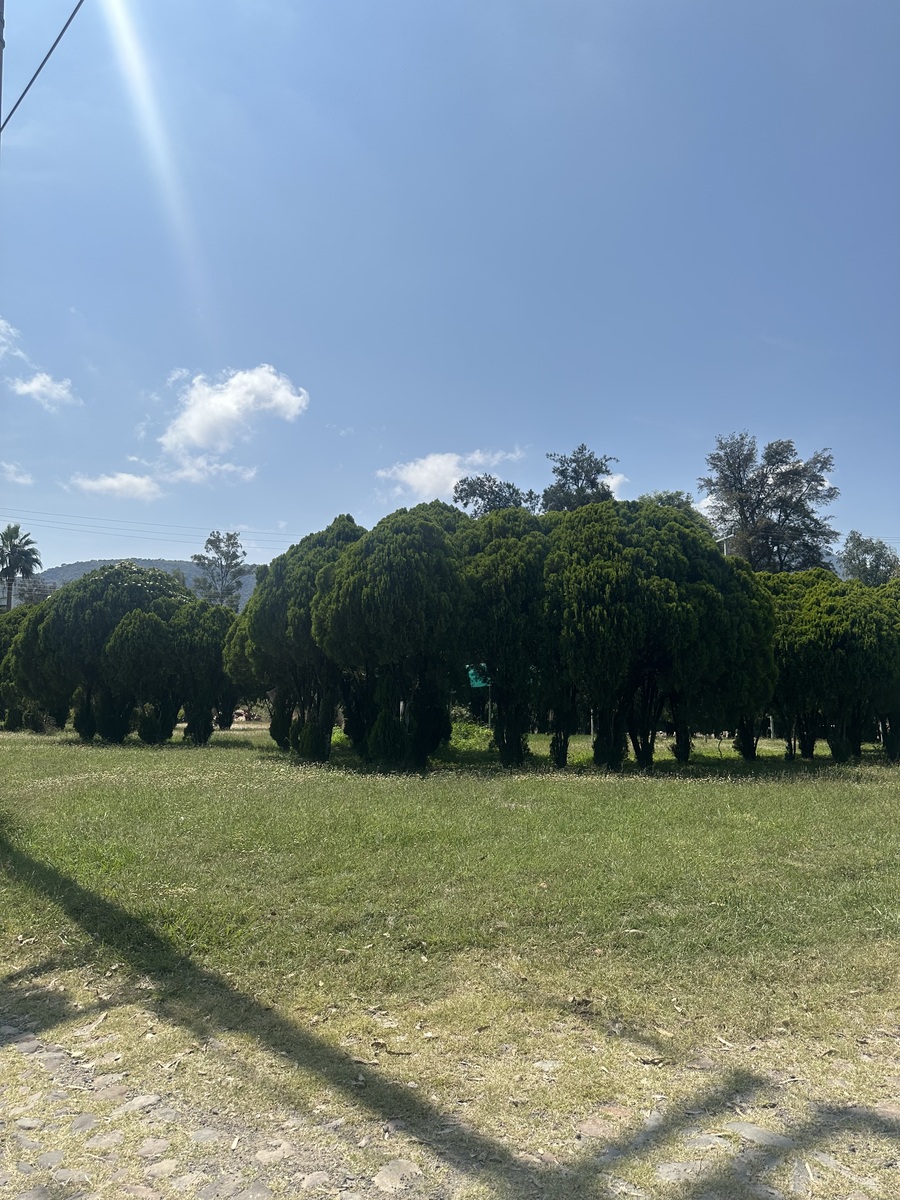 6 de 15: Ingreso al Fraccionamiento