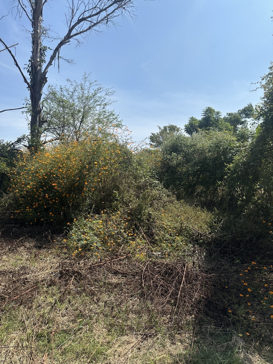 12 de 15: Terreno 
Se entrega limpio o se llega a un acuerdo