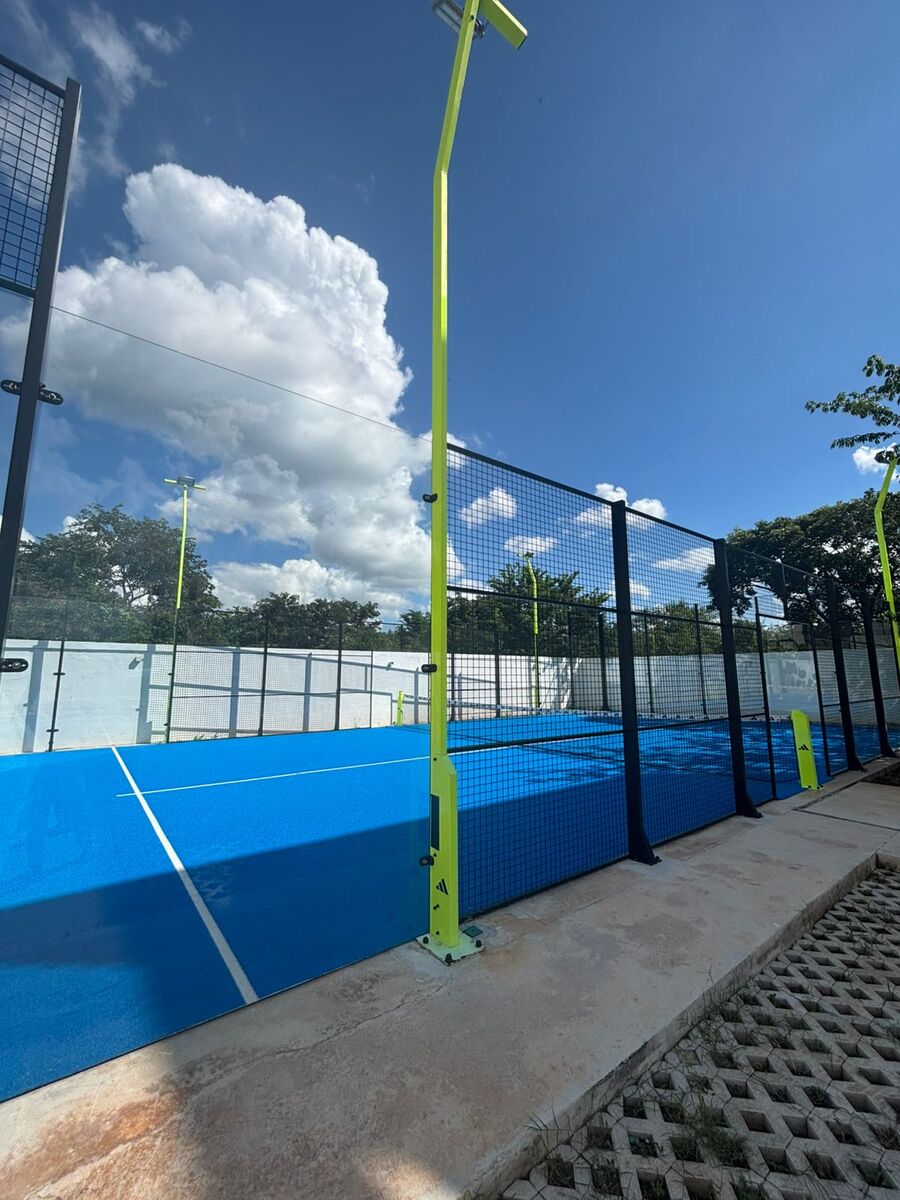 14 de 24
