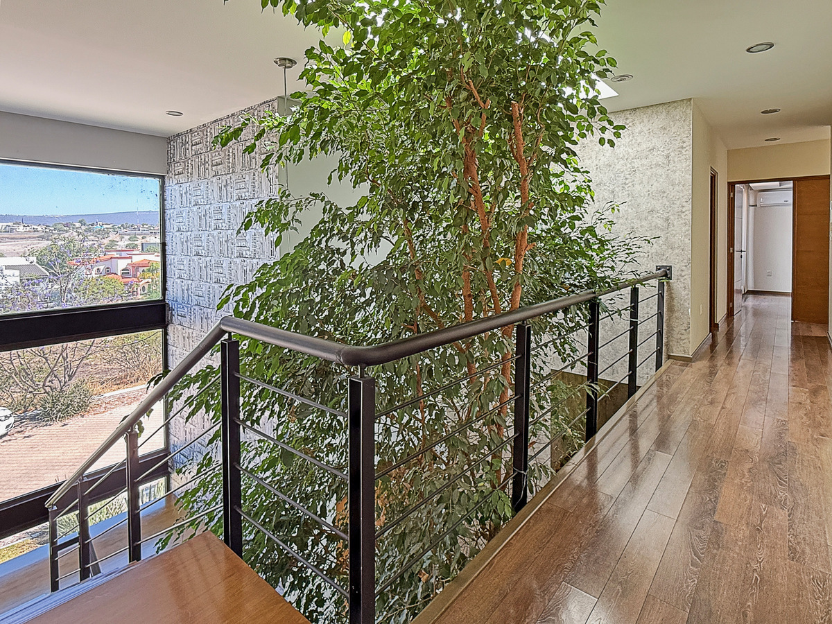 28 de 42: Escaleras, Arbol Natural