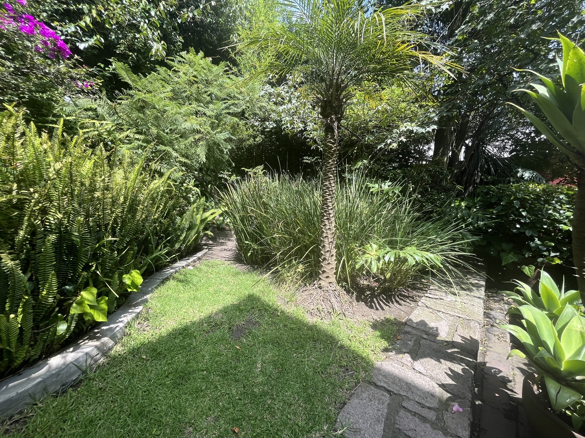 2 of 20: Jardín
