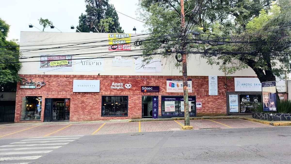 10 de 12