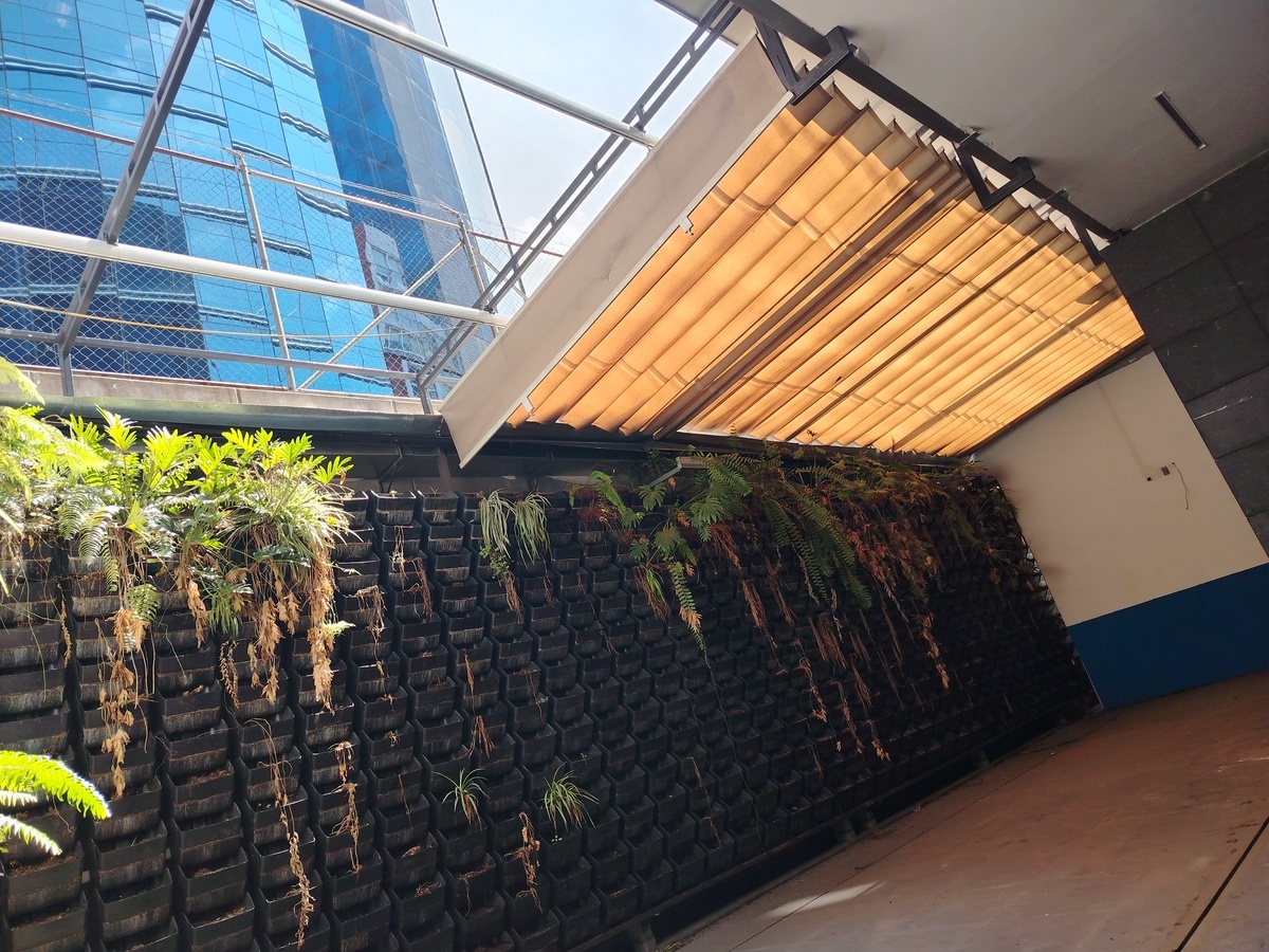 5 of 8: Terraza