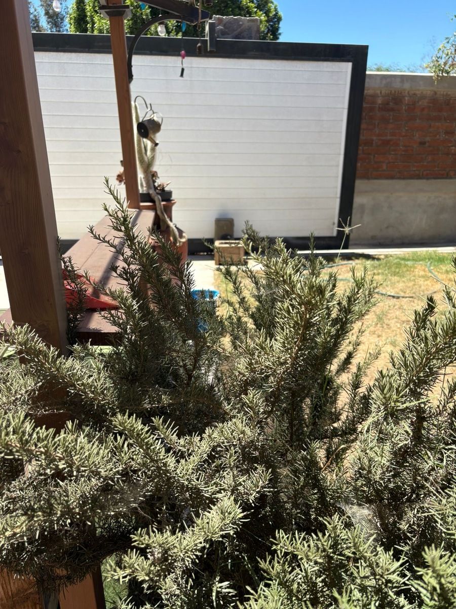 Casa en Valle de Guadalupe, Ensenada, foto 6 de 33