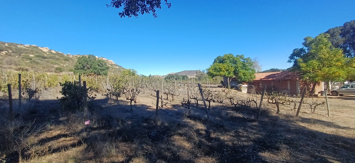 9 de 12
