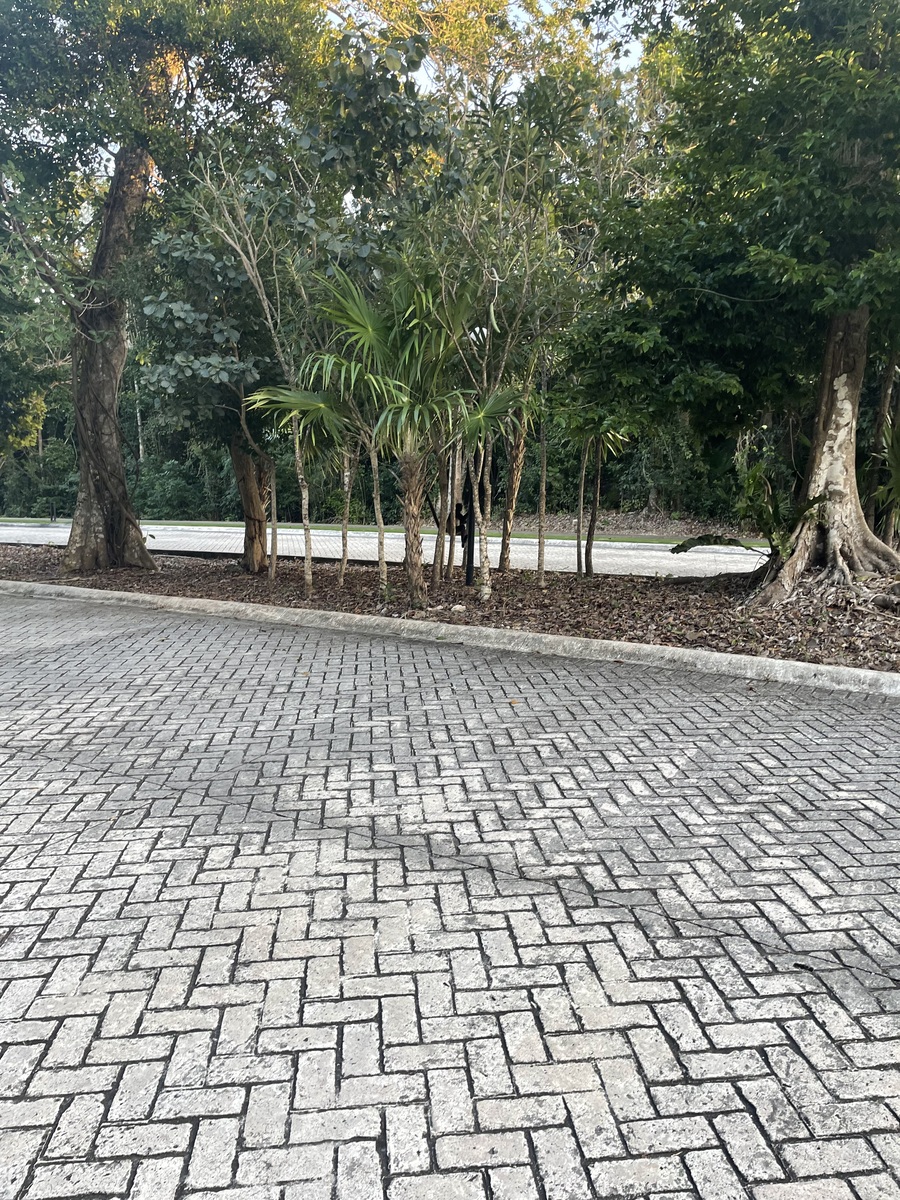 32 de 33