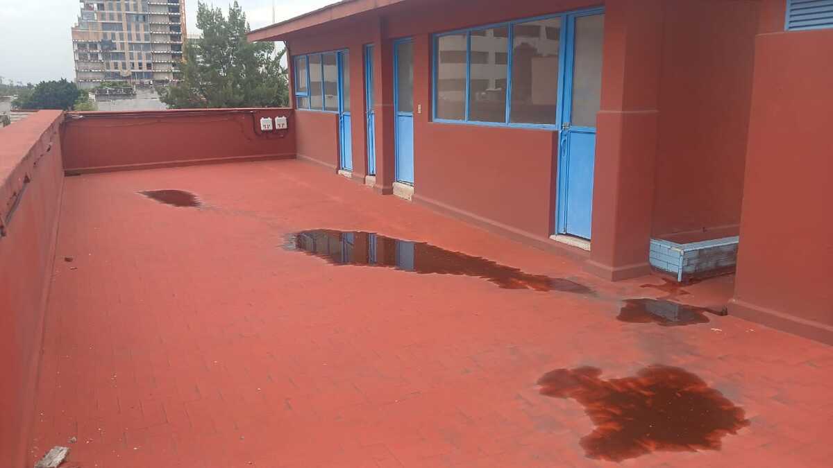 2 de 13