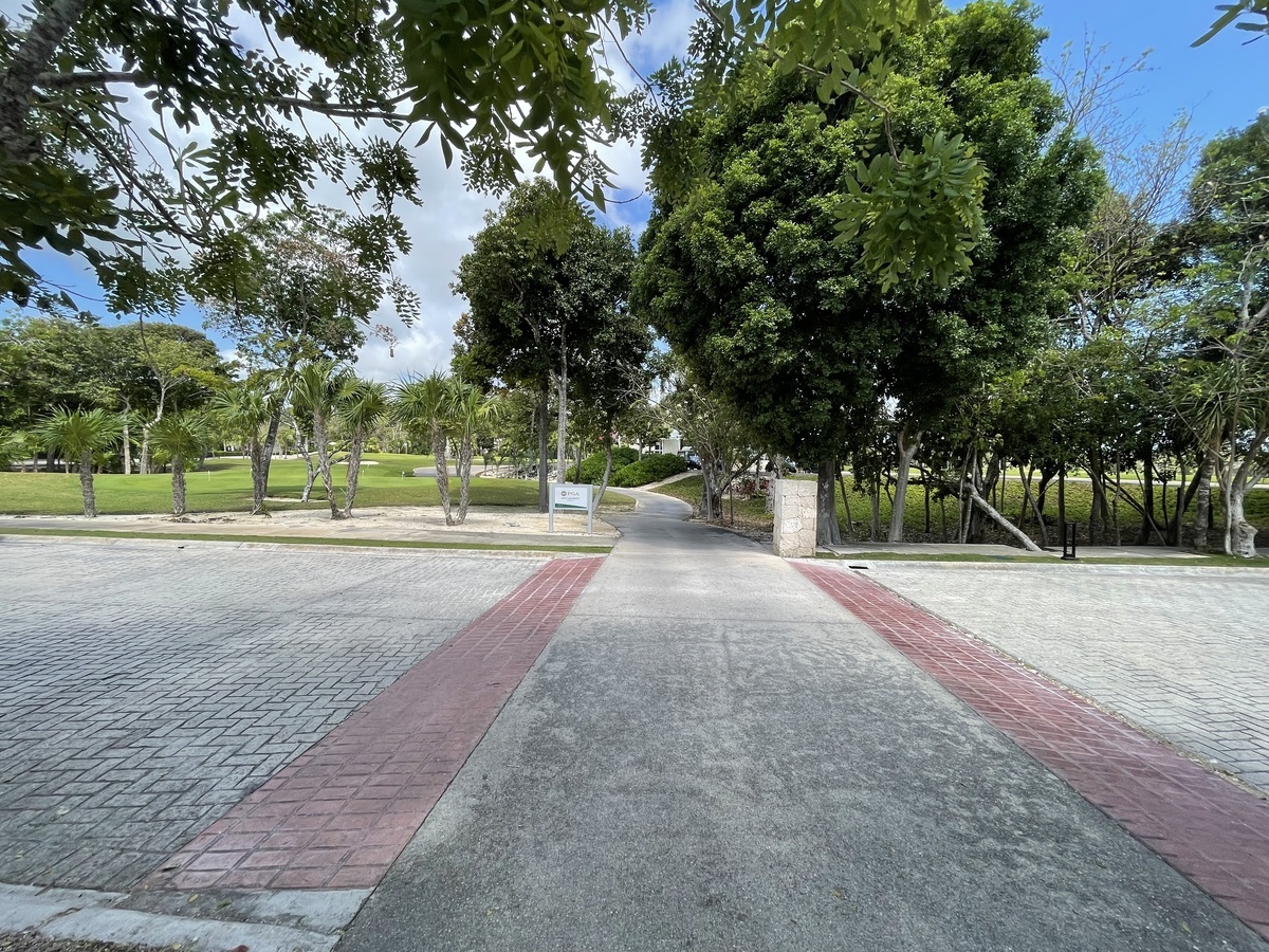 29 de 51