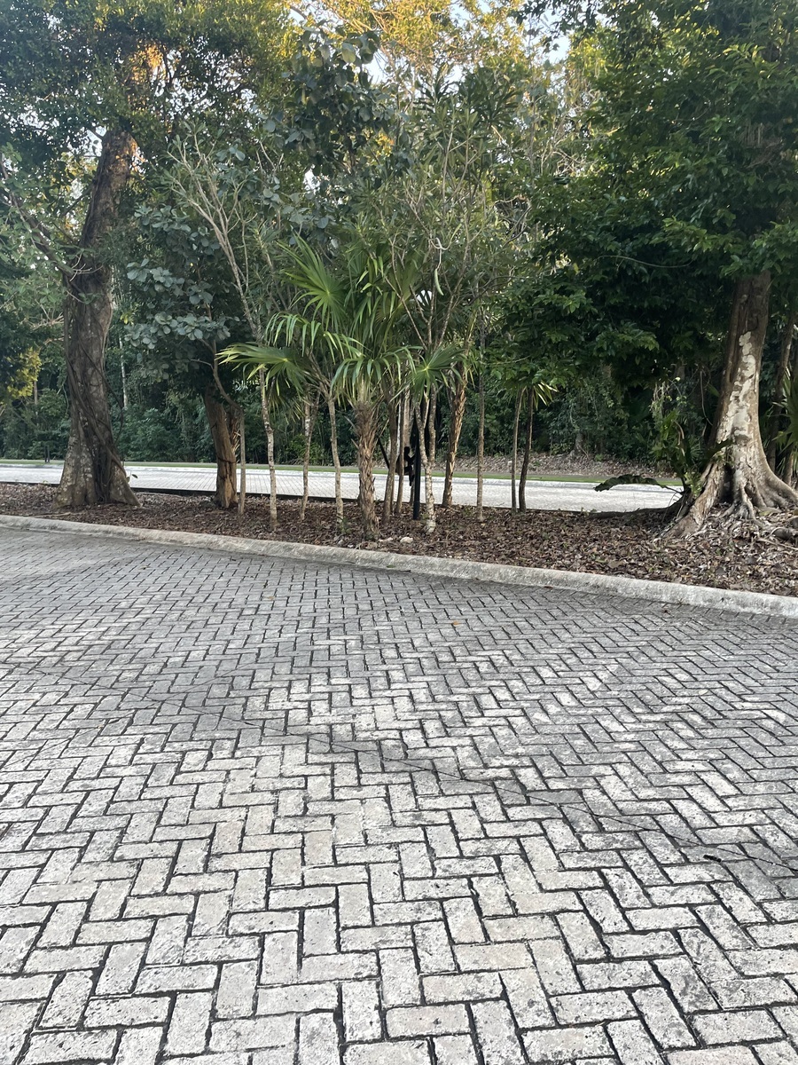 32 de 51