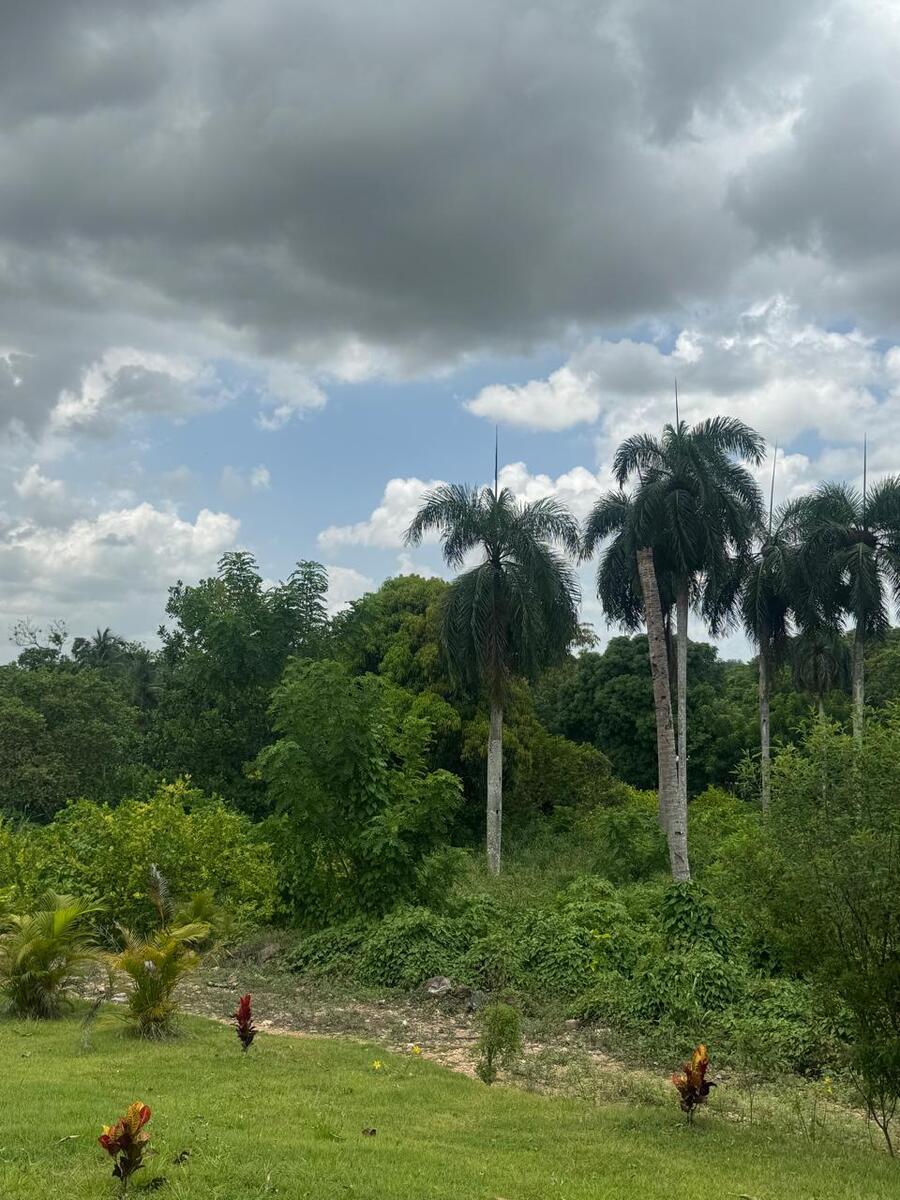 8 de 21