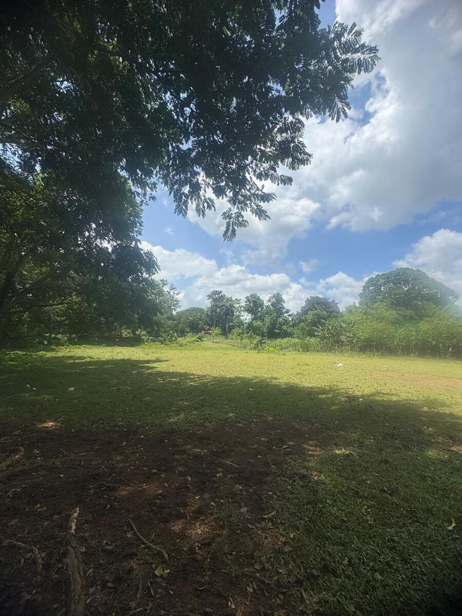 13 de 21