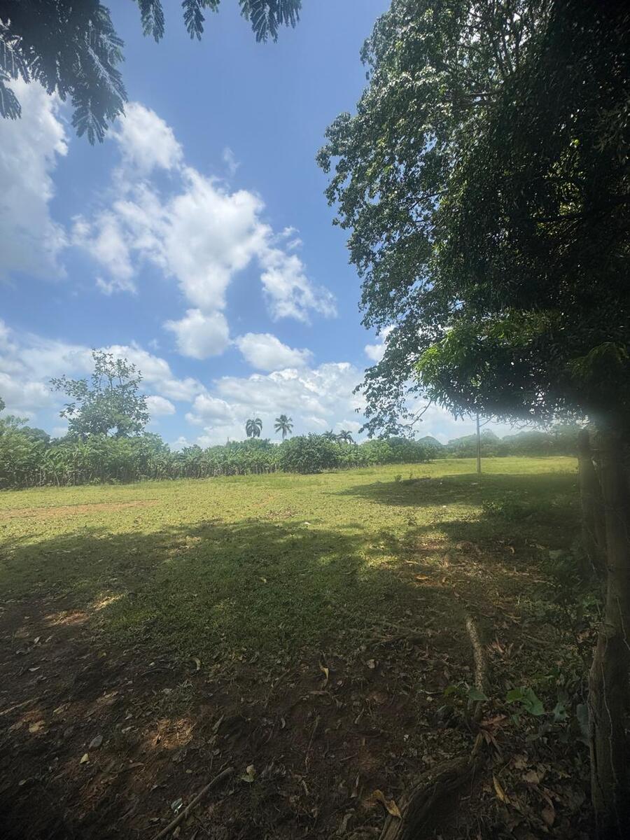 19 de 21