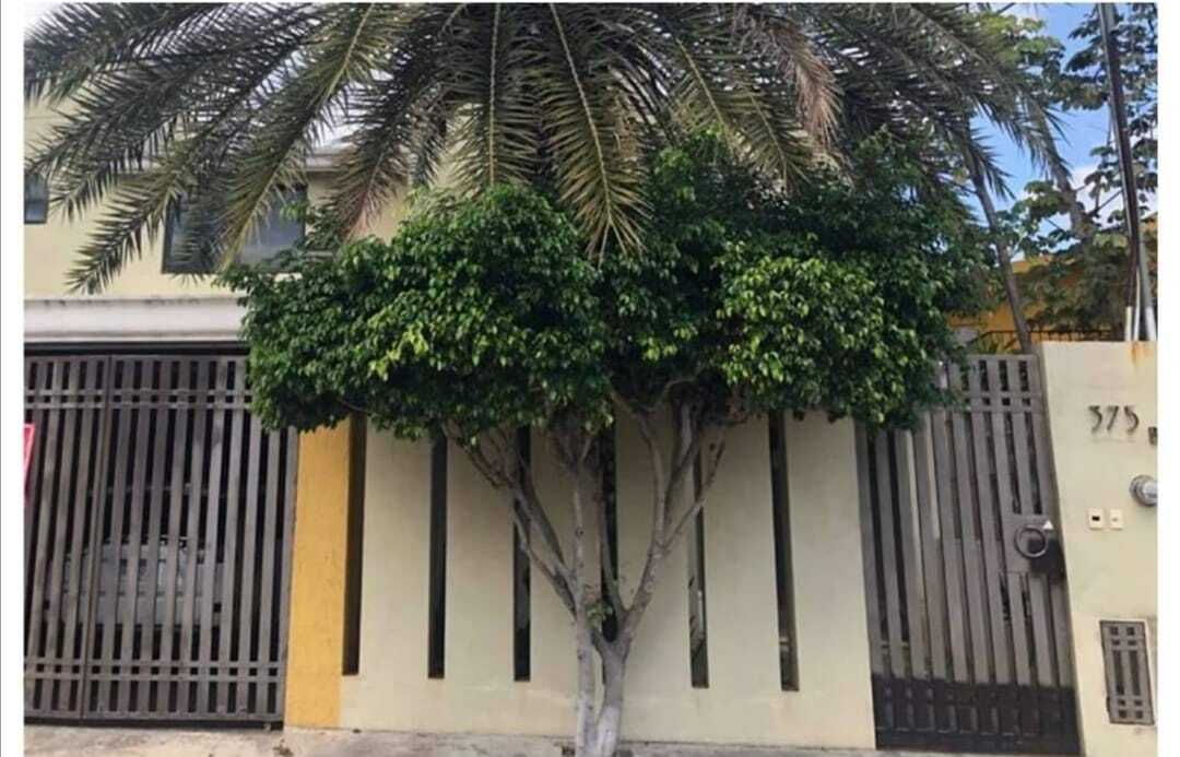 1 de 20