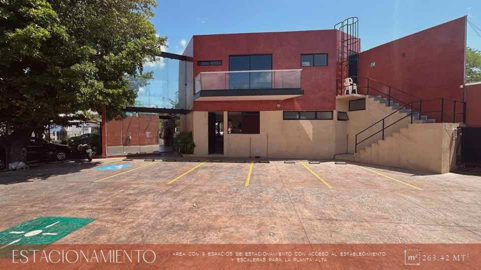 5 de 13