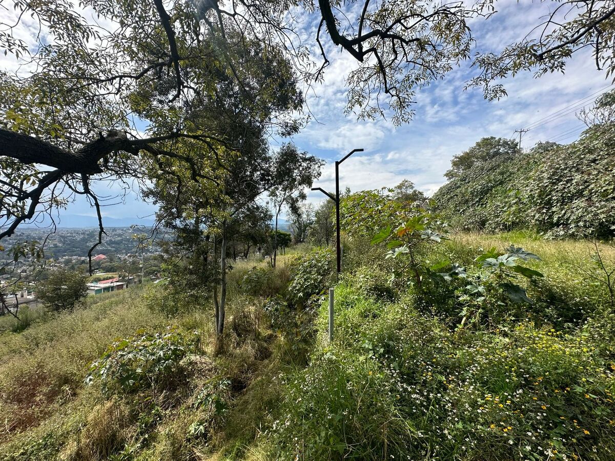 10 de 14