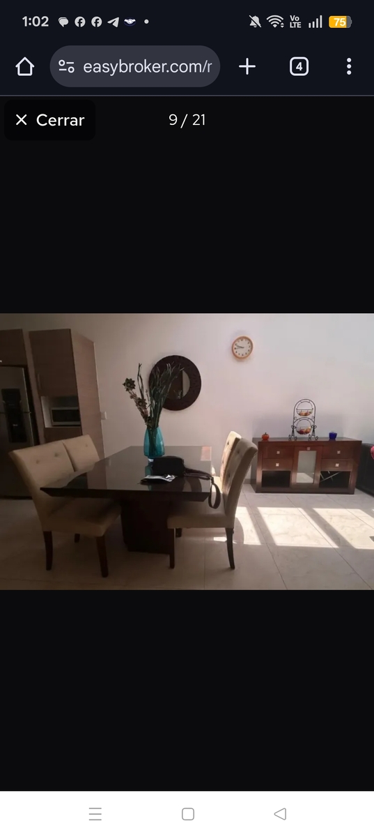 6 de 20