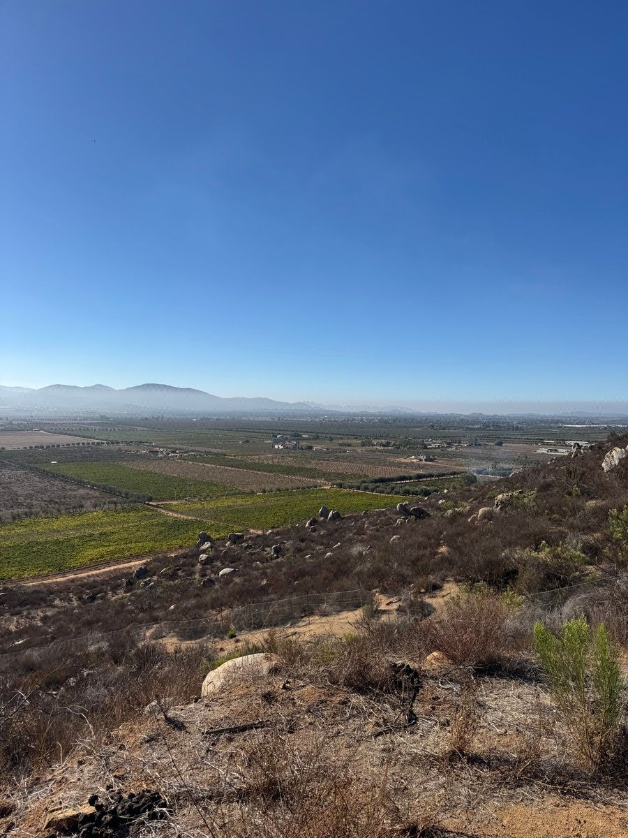 Venta de 9 Hectáreas en Valle de Guadalupe Ensenada