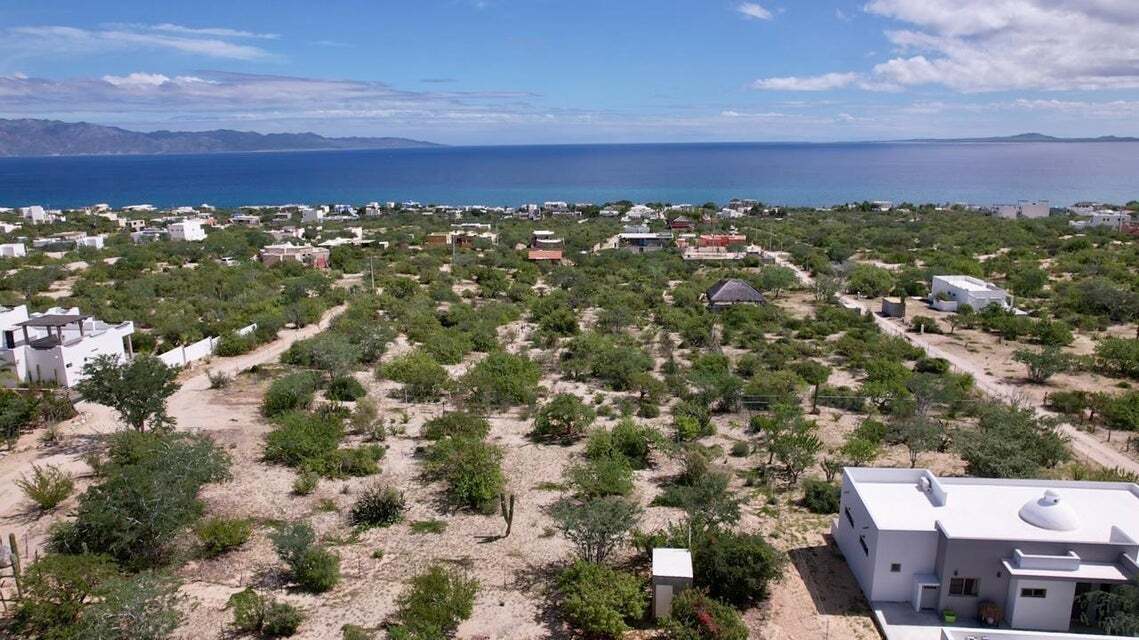 4 de 8