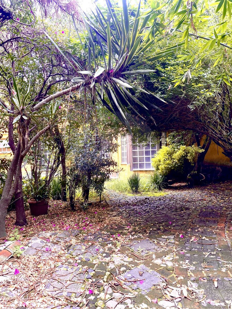 1 de 50