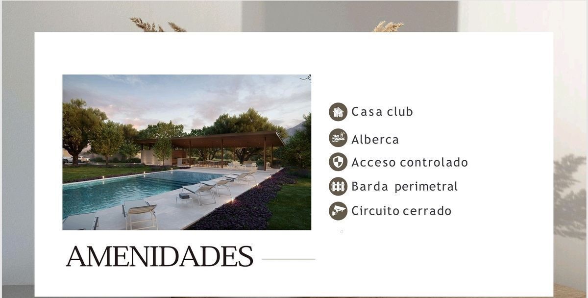 5 de 6