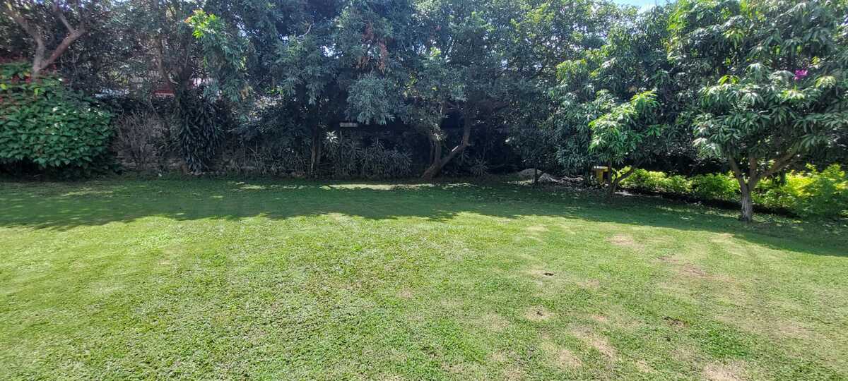 13 de 24