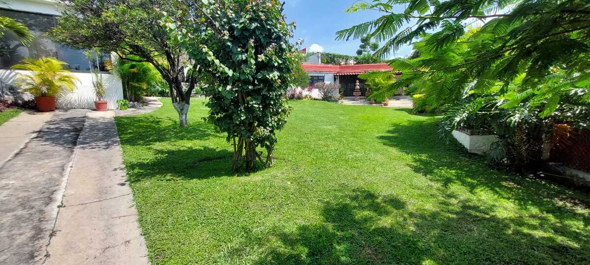 11 de 24